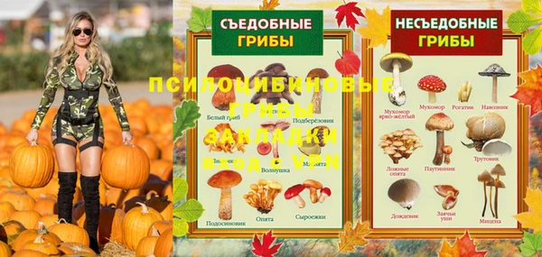 гашик Киренск