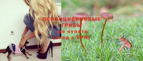 меф Киреевск