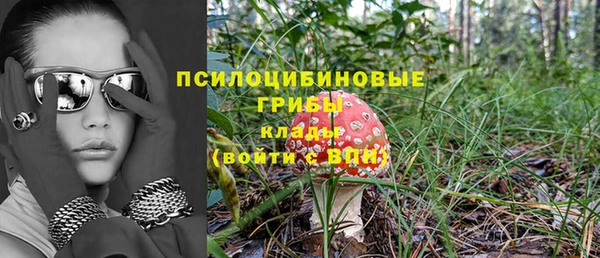 гашик Киренск