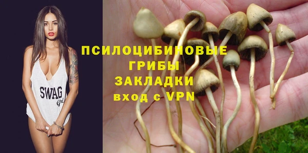 гашик Киренск